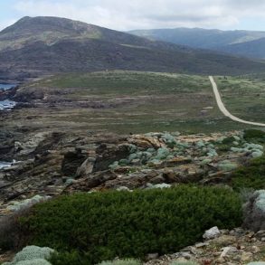 Visite de lîle dAsinara Sardaigne |blog Voyages Enfants