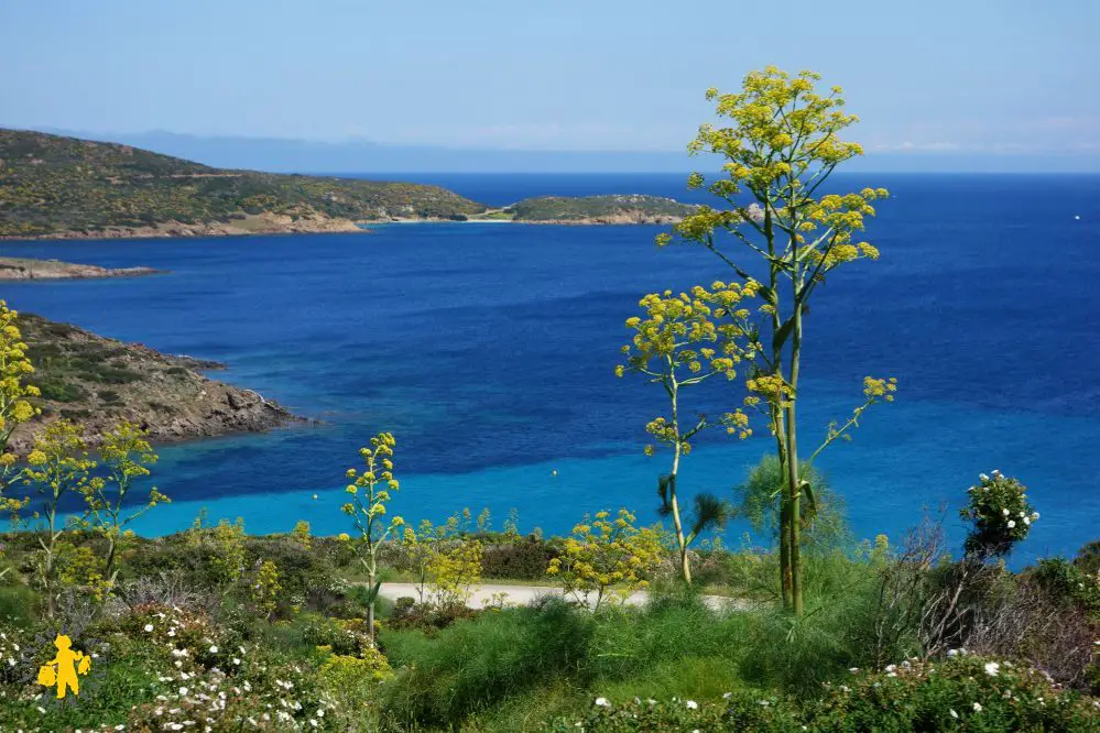 20140424 Sardaigne Asinara +soir Castelsardo 97a Visite de lîle dAsinara Sardaigne |blog Voyages Enfants