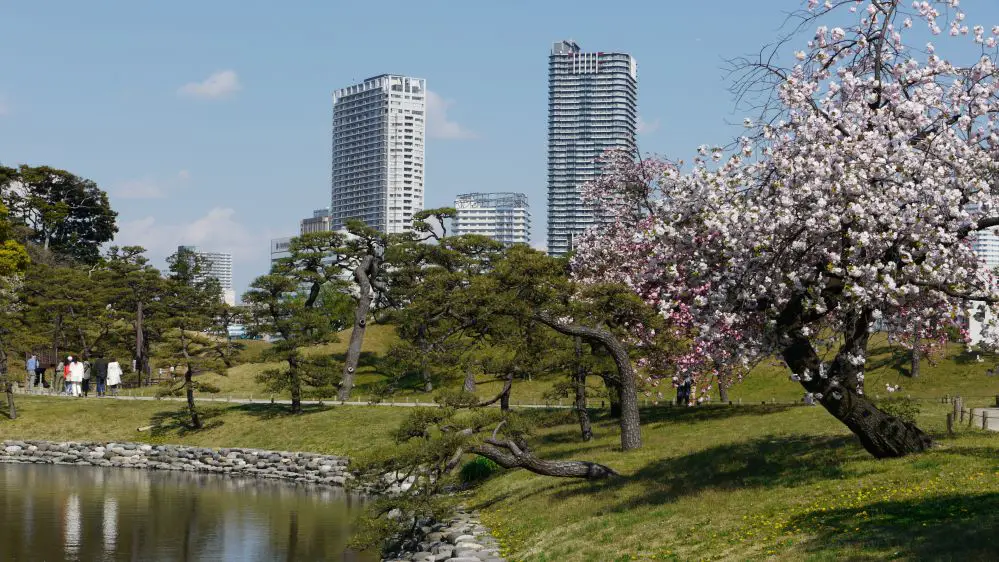 Voyage Japon famille