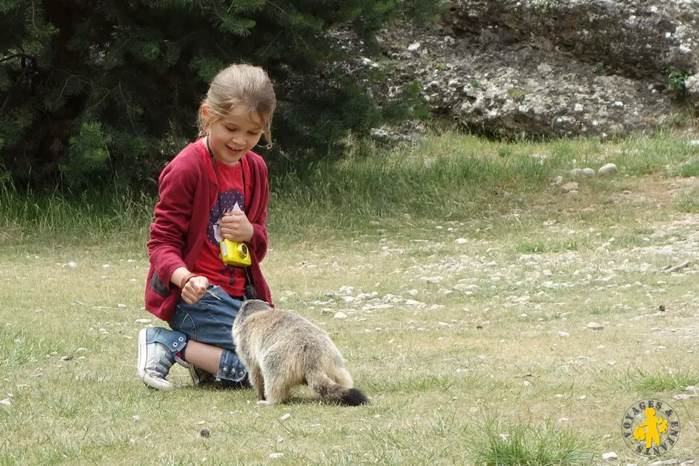 Potes de Marmottes Hautes Alpes Voyages enfants_compressed