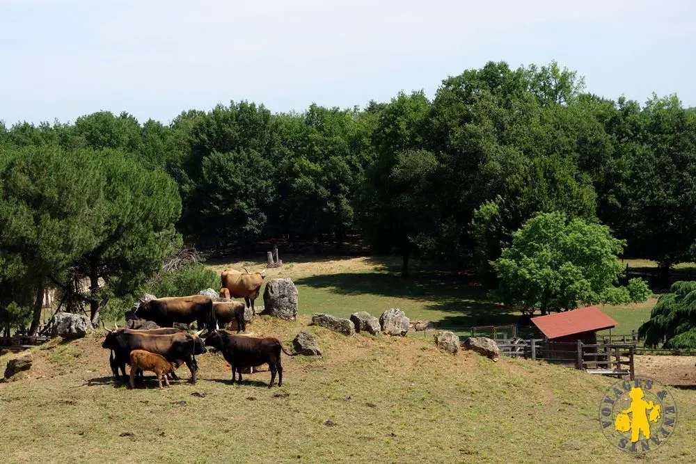 Thot zoo avec enfant voyage famille perigord