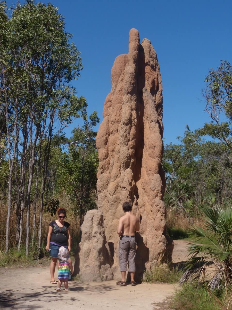 Litchfield nat park Australie un an en famille Voyage au long cours | Blog VOYAGES ET ENFANTS