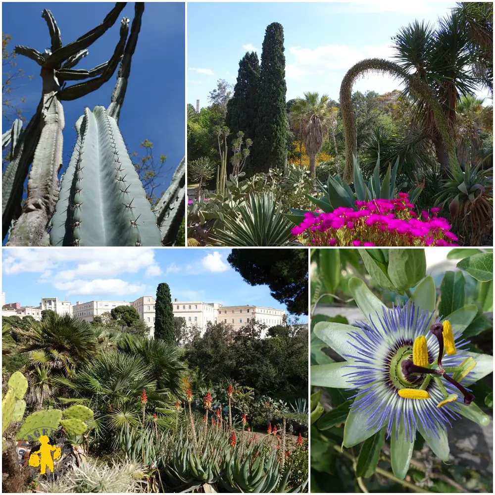Sardaigne Cagliari jardin botanique pour les enfants
