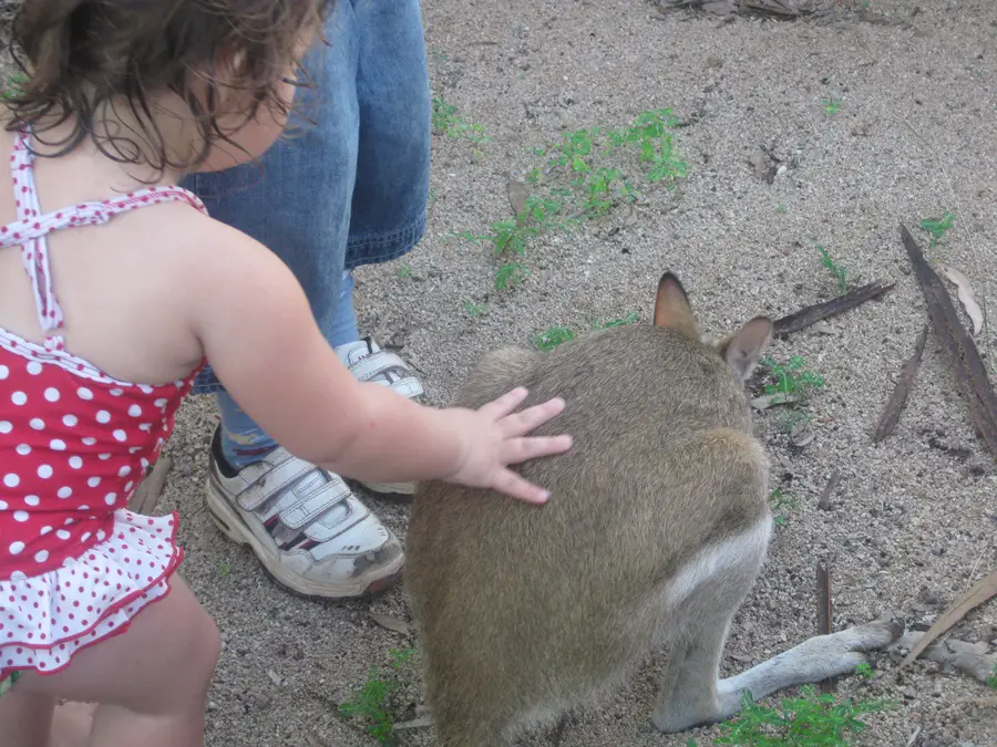 mataranka Australie un an en famille Voyage au long cours | Blog VOYAGES ET ENFANTS