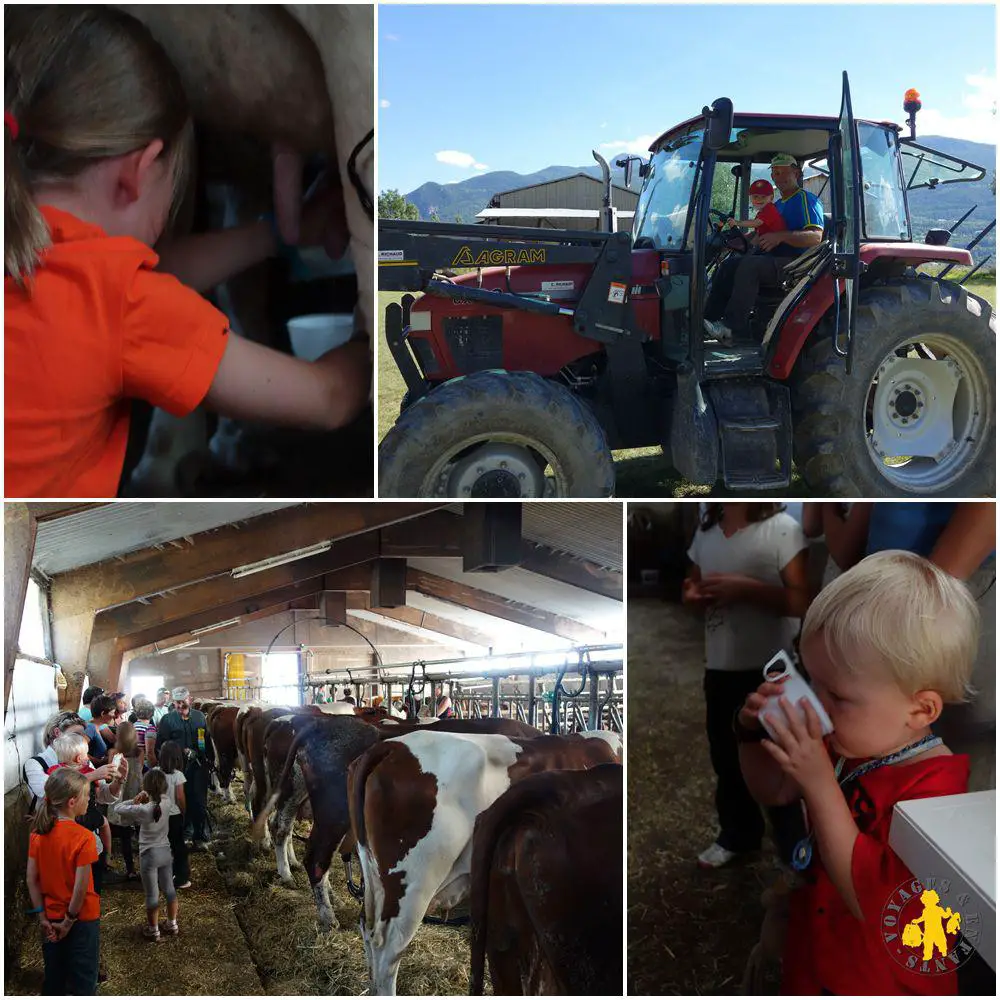 Festival potes des marmoTs guillestre week-end en famille