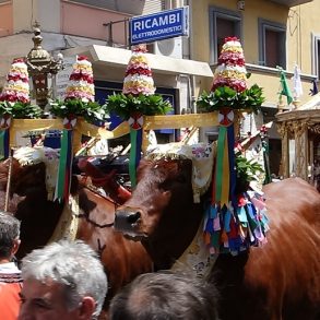 Cagliari en famille visite San Efisio VOYAGES ET ENFANTS