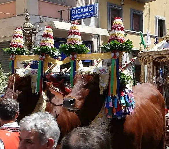 Visite de Cagliari en famille