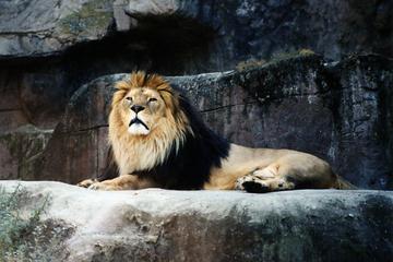 rome-bike-tour-pedaling-into-the-zoo-of-rome-in-rome-210710