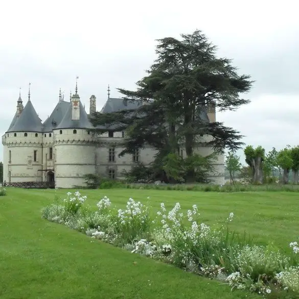 Les célèbres châteaux de la Loire avec 2 enfants
