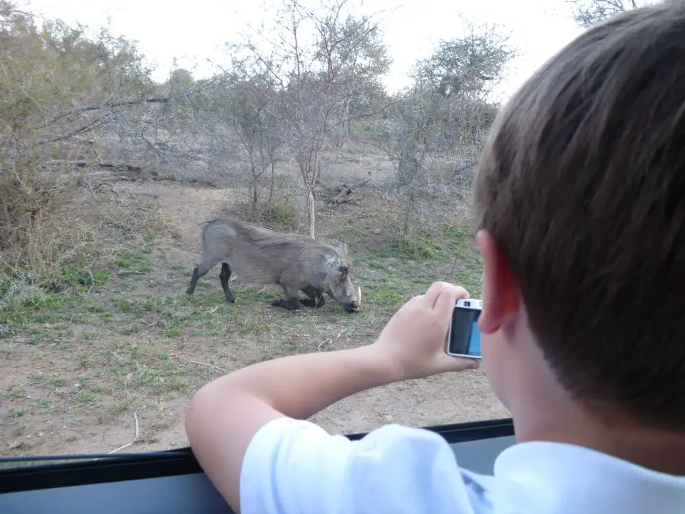 Safari en Afrique du Sud en famille Afrique du Sud Voyage en tribu avec 3 enfants | Blog VOYAGES ET ENFANTS