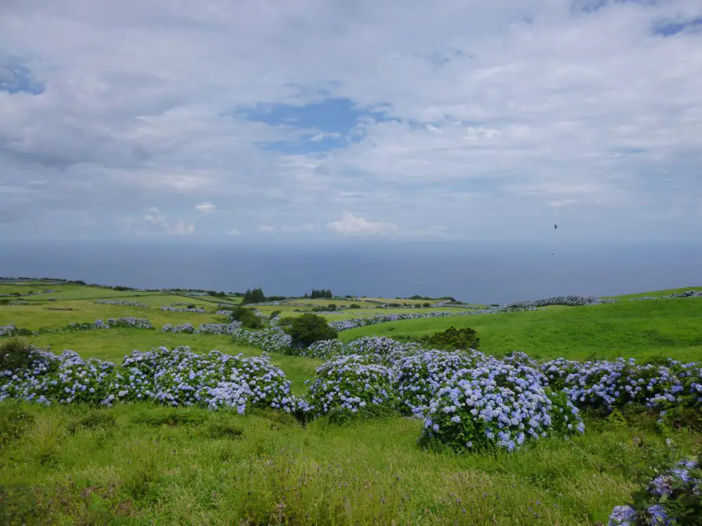 Açores en famille Les Acores avec les enfants | Blog VOYAGES ET ENFANTS