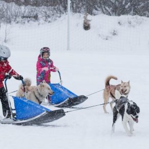 Igloo Pelvoo Baby traineau à Pelvoux activités | Blog VOYAGES ET ENFANTS