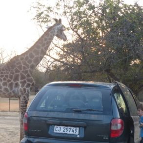 Afrique du Sud Voyage en tribu avec 3 enfants | Blog VOYAGES ET ENFANTS