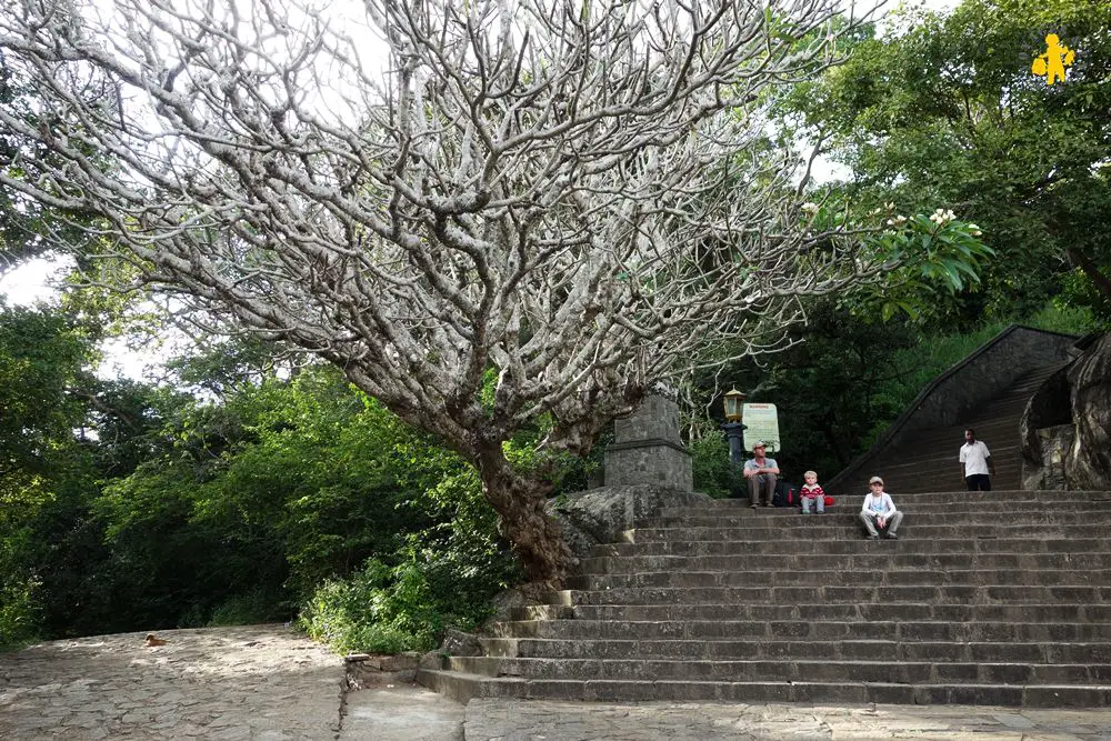 20150225 Sri Lanka Bamdulla avec les enfants 2 Sigiriya Dambulla en famille Sri Lanka| VOYAGES ET ENFANTS