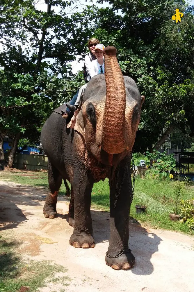 20150225 Sri Lanka Sand Elephant pour les enfants Quel animaux observé au Sri Lanka avec enfant