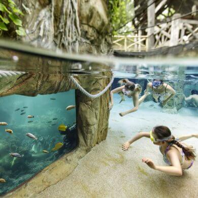 Center Parcs: une escapade nature pour les tribus