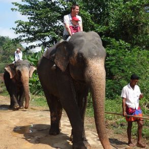 Quel animaux observé au Sri Lanka avec enfant