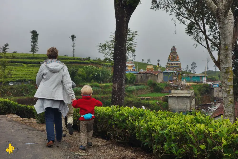 Haputale en famille Haputale avec enfants visite en famille VOYAGES ET ENFANTS