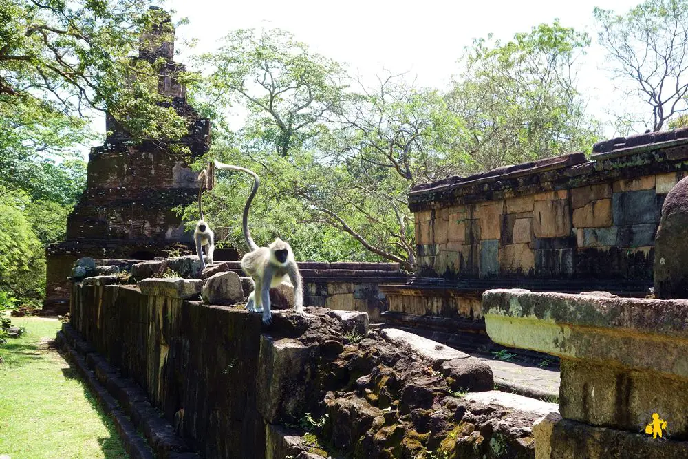 2015.02.25 Sri Lanka polonnaruwa en famille voyage visite 2