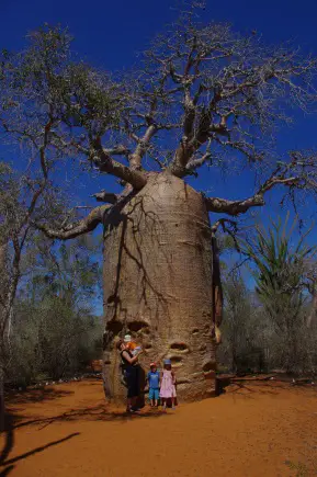 Madagascar en famille avec enfant 10 Destination famille Nature Nos tops avec enfant 2019 | Blog VOYAGES ET ENFANTS