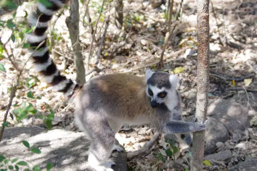 Madagascar en famille avec enfant 9 3 semaines à Madagascar en famille | Blog VOYAGES ET ENFANTS