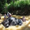 Andorre en famille activités en été | Voyages et Enfants