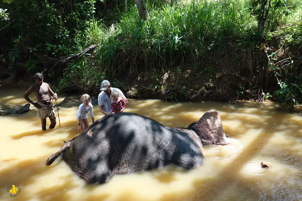 Sri Lanka Bain éléphant