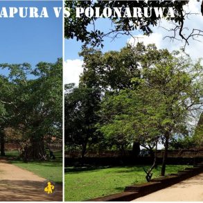 Anuradhapura ou Polonaruwa avec enfant |VOYAGES ET ENFANTS