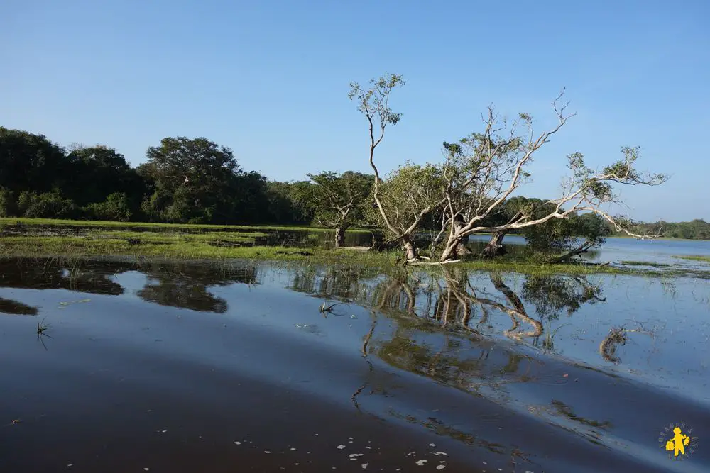 20150225 Sri Lanka 1448 safari avec enfant willpatu parc Safari au Sri Lanka avec des enfants | VOYAGES ET ENFANTS