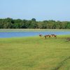 Safari au Sri Lanka avec des enfants | VOYAGES ET ENFANTS