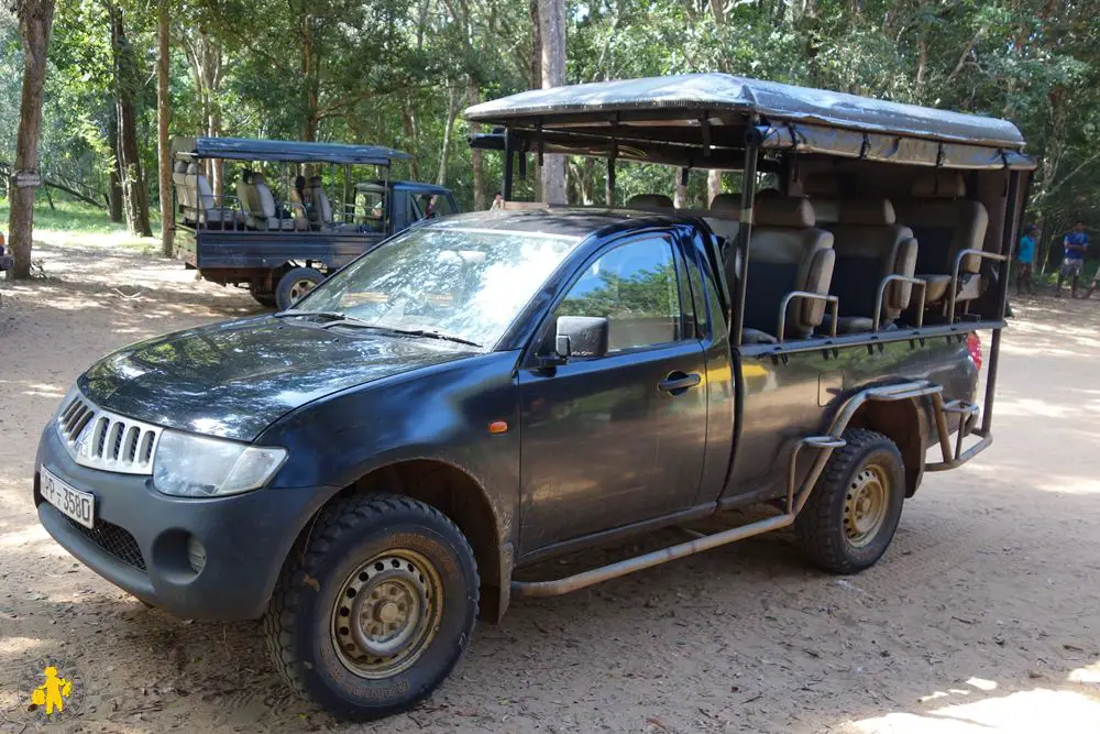 Safari Sri Lanka en famille Safari au Sri Lanka avec des enfants | VOYAGES ET ENFANTS