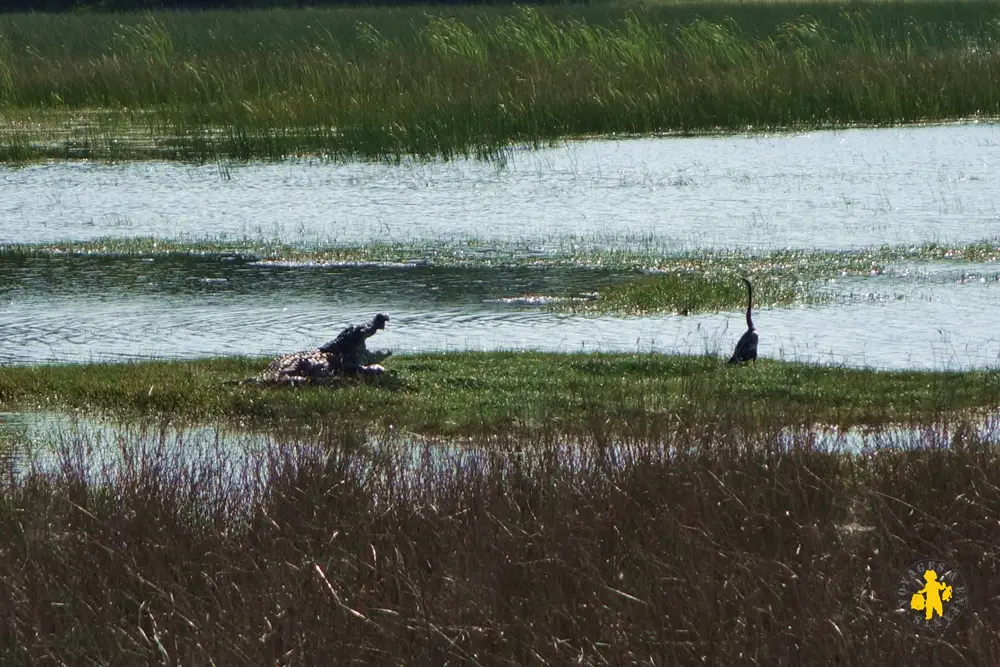 20150225 Sri Lanka crocodile en safari wilppattu parc Destination famille Nature Nos tops avec enfant 2019 | Blog VOYAGES ET ENFANTS