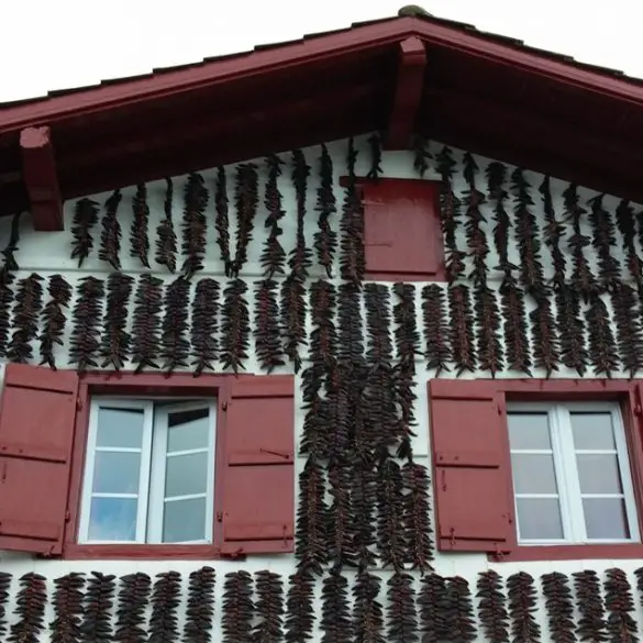 Pays-Basque #1: une semaine en famille