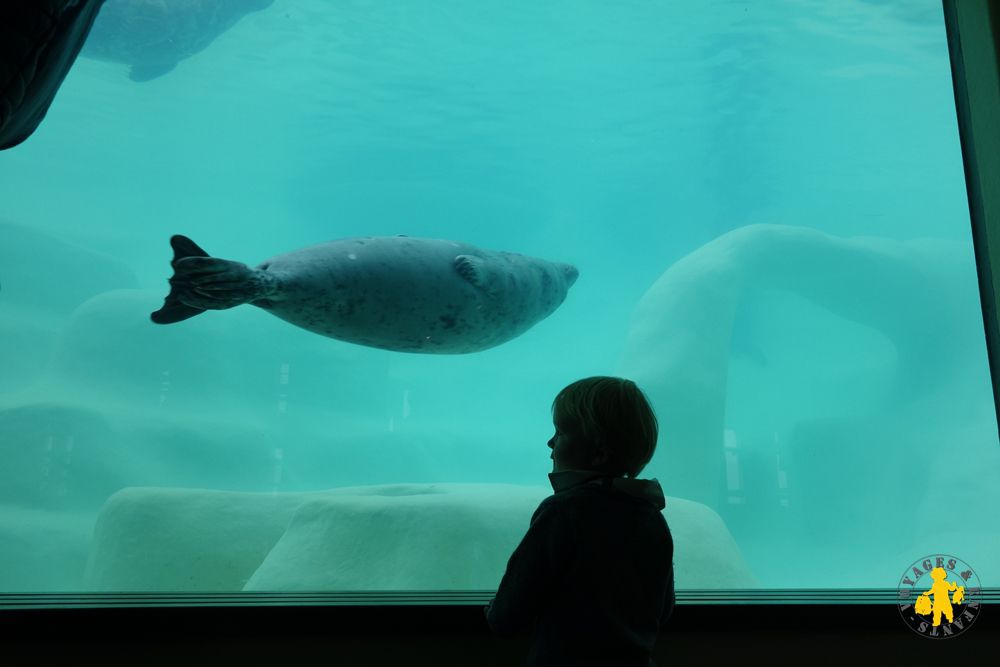 2015.05.04 Cote Basque Biarritz Aquarium avec des enfants