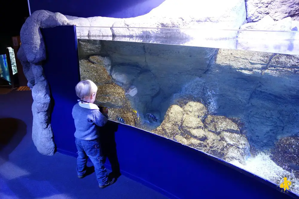 Biarritz Aquarium activité visite enfant