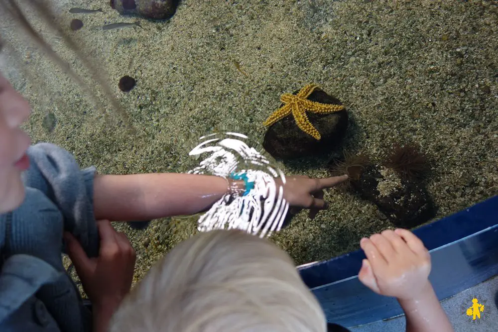 Biarritz aquarium activités visites plages pour les familles 2 Biarritz en famille Pays Basque | Blog VOYAGES ET ENFANTS