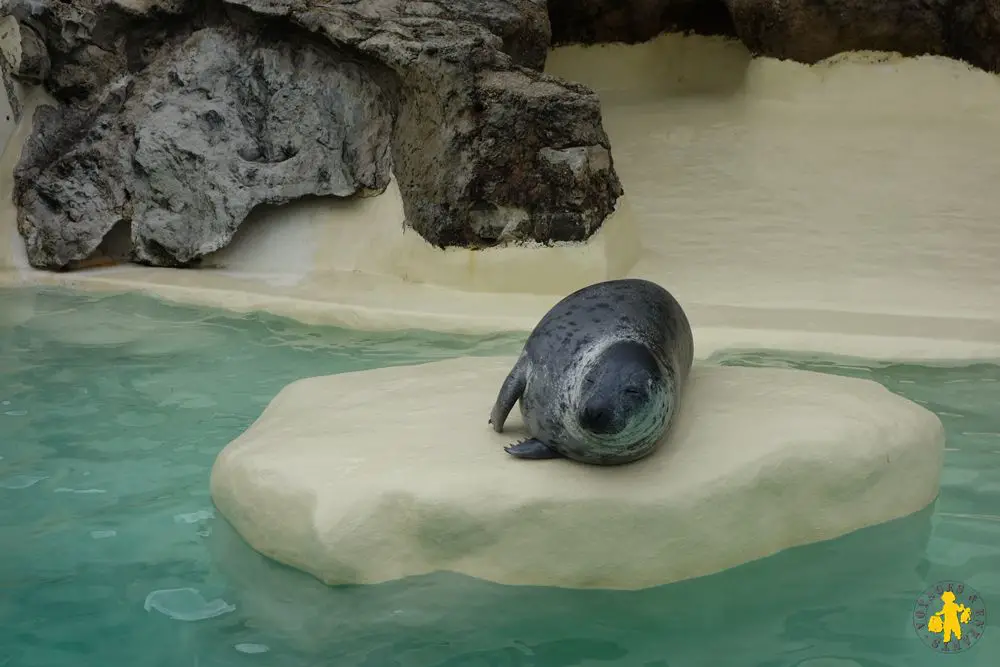 Biarritz aquarium activités visites plages pour les familles Biarritz en famille Pays Basque | Blog VOYAGES ET ENFANTS