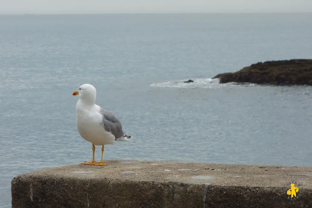 Biarritz port en famille Biarritz en famille Pays Basque | Blog VOYAGES ET ENFANTS