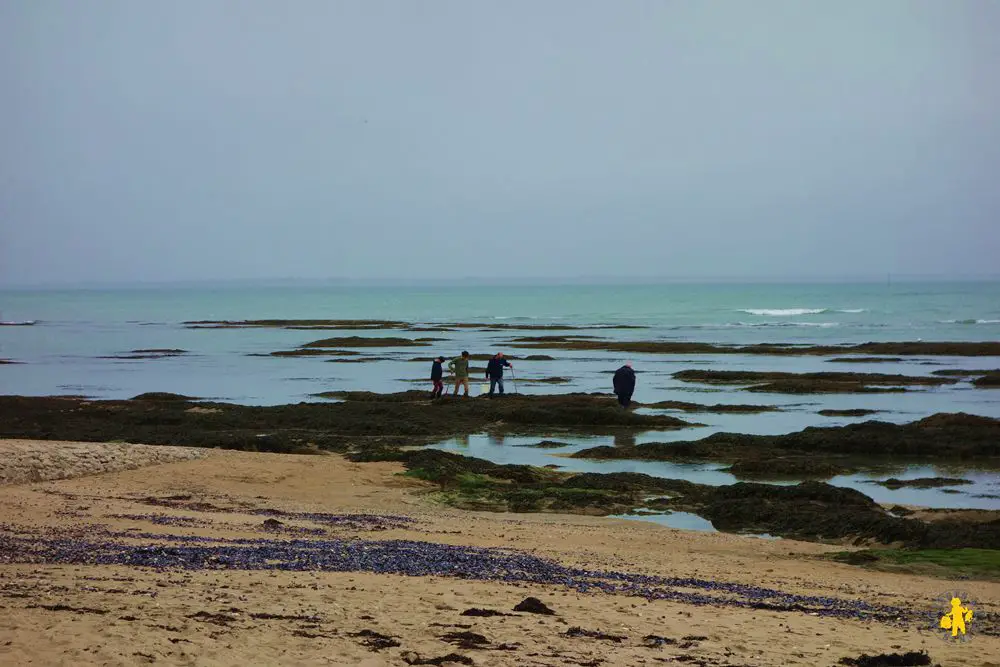 Pèche à pied sur Noirmoutier Vendée en famille