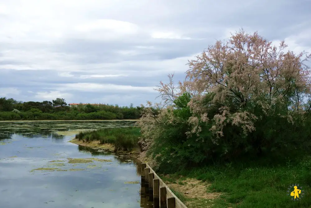 Cote Basque Anglet Parc Izadia Bidart et St Jean de Luz avec Moroc 52 Anglet et Bayonne avec des enfants Pays Basque | Blog VOYAGES ET ENFANTS