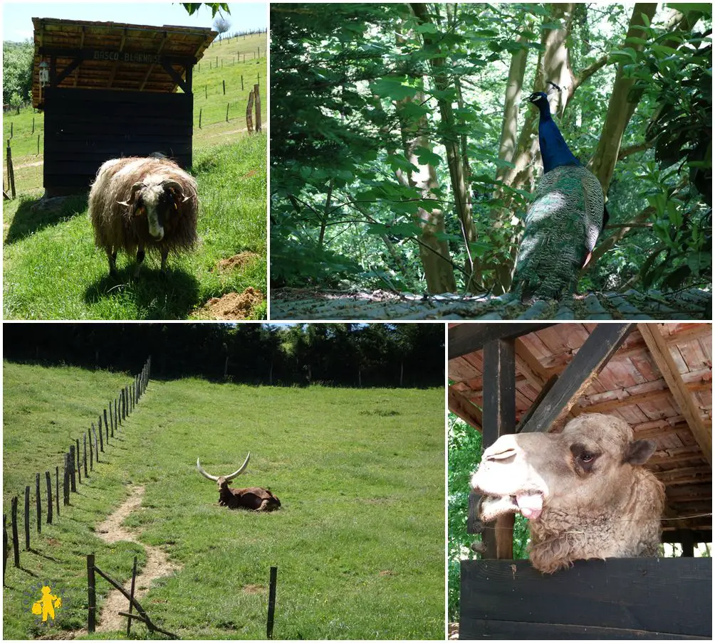Etxola parc animaux enfant Pays Basque