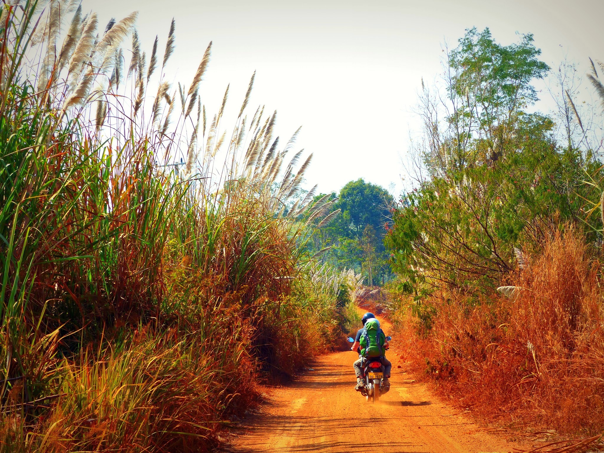 Laos PlateauDesBolovens Voyage en Asie pour maman solo et ses jumeaux | Blog VOYAGES ET ENFANTS