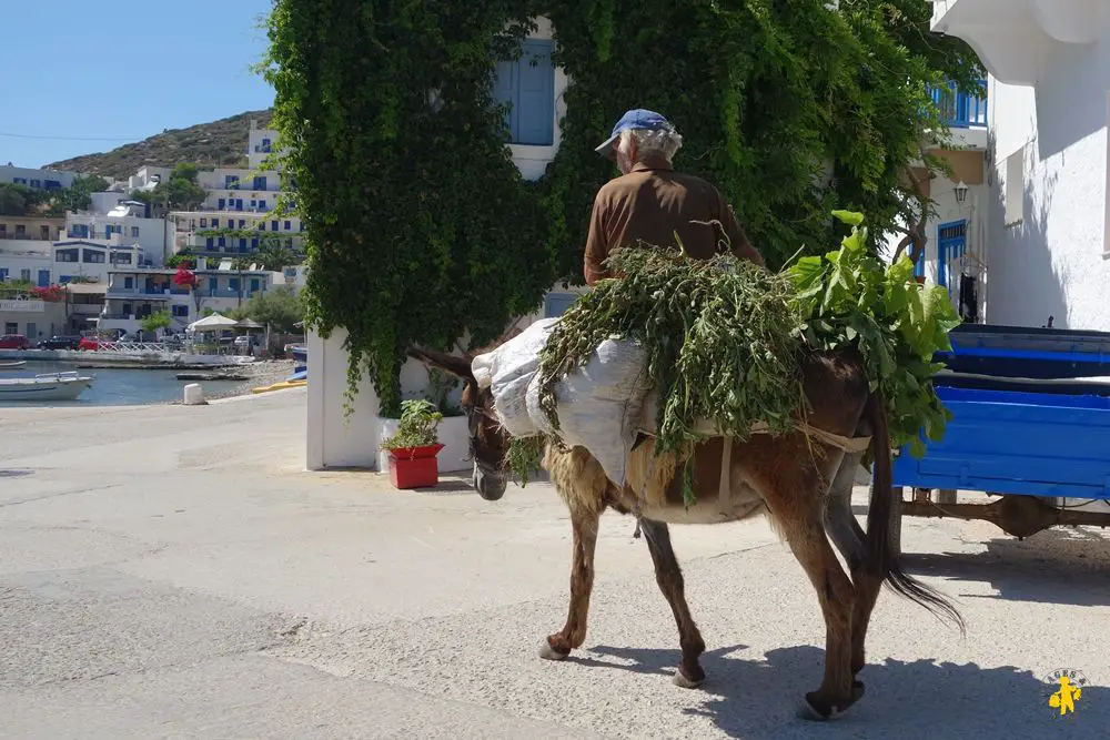 Amorgos village grand bleu