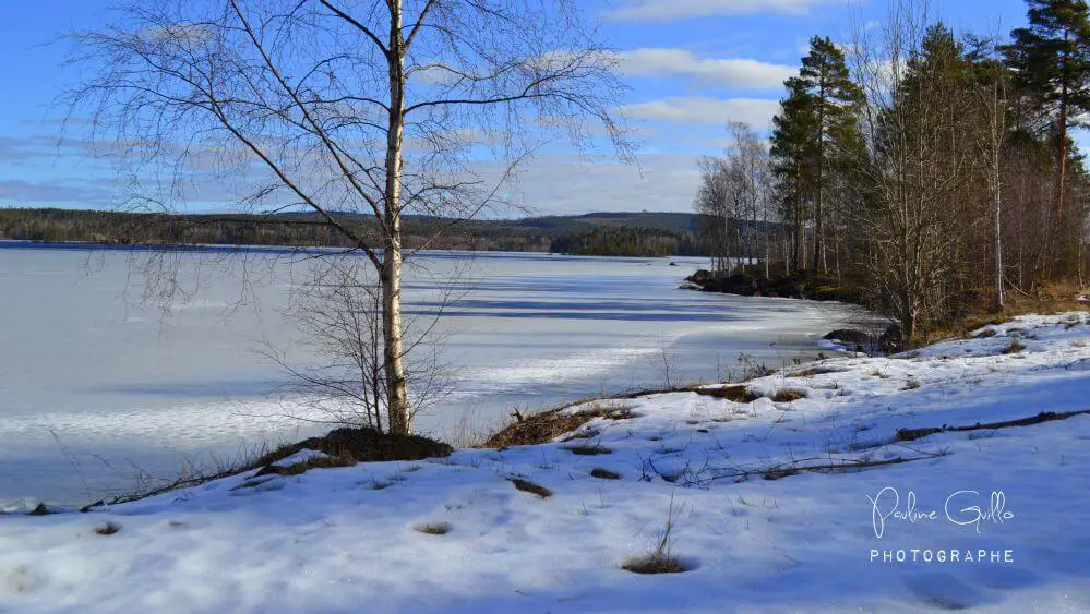 DSC 0059 Suède en famille lhiver | Blog VOYAGES ET ENFANTS