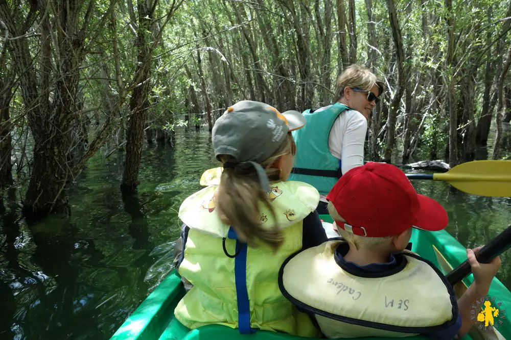 Lac de Ste Croix mangrove Week end Gorges du Verdon en famille | VOYAGES ET ENFANTS