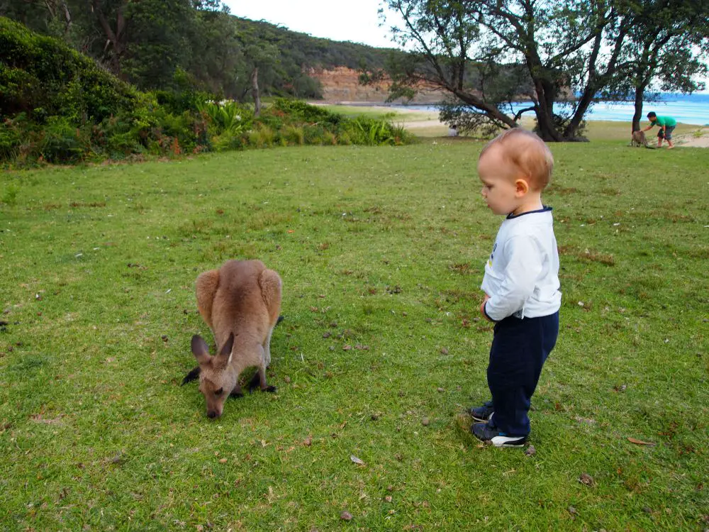 OLYMPUS DIGITAL CAMERA Australie en famille en Van cote est | VOYAGES ET ENFANTS