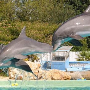 Devenir Ambassadeurs... 1ère escapade: Planète Sauvage