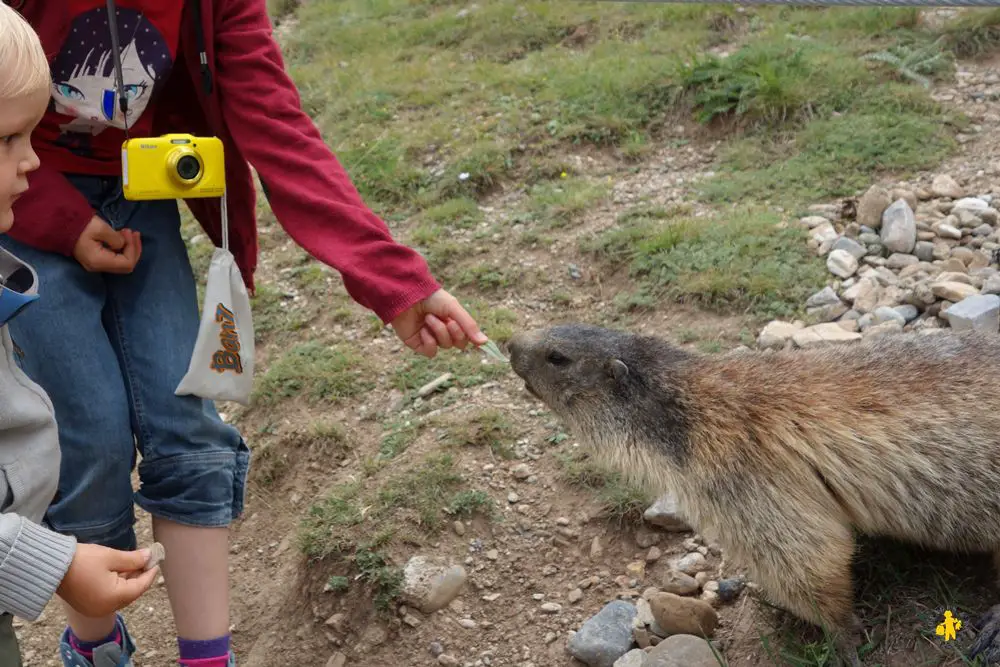 Guillestre - Sentier des Marmottes - Voyages et Enfants