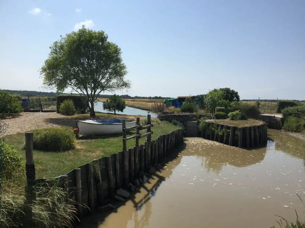 velodysee en famille Vélodyssée avec des enfants vélo en famille sur lAtlantique