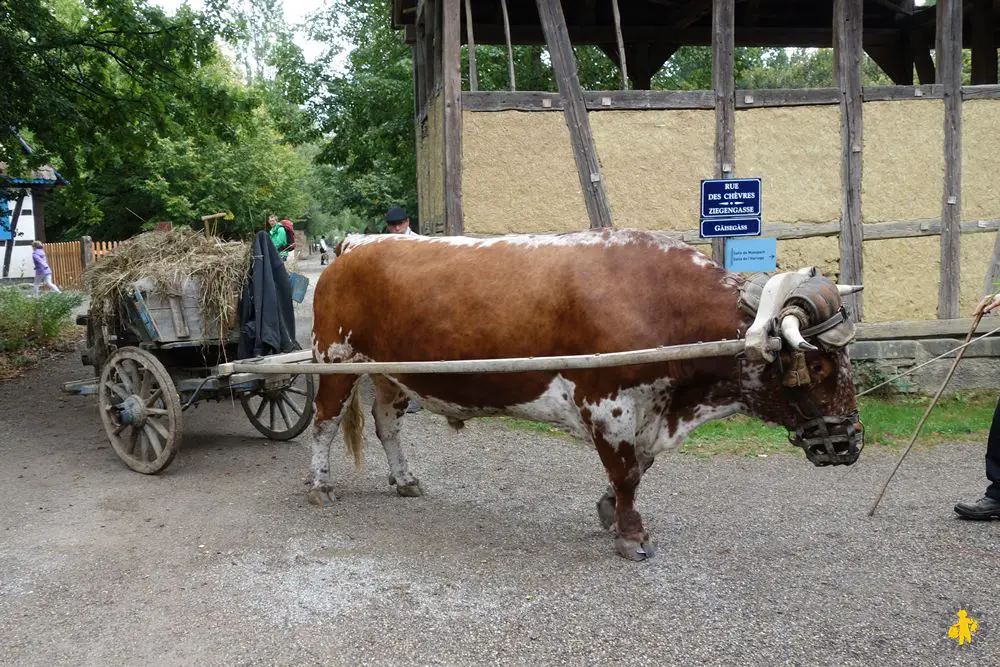 20150912 Colmar Ecomusée Week end à Colmar en famille activités visites et hôtel | Blog VOYAGES ET ENFANTS